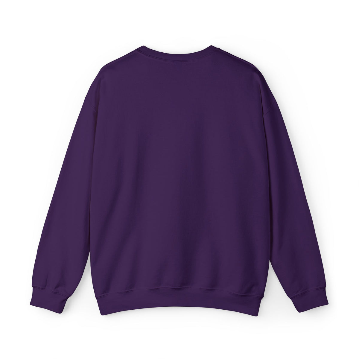 Anxious Vibes Sweatshirt — "just a little ANXIOUS" Cozy Embroidered Crewneck